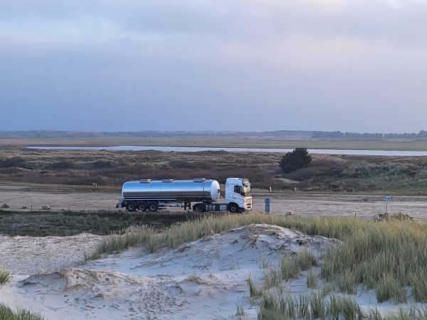 aus Monat November 22 - David Horn